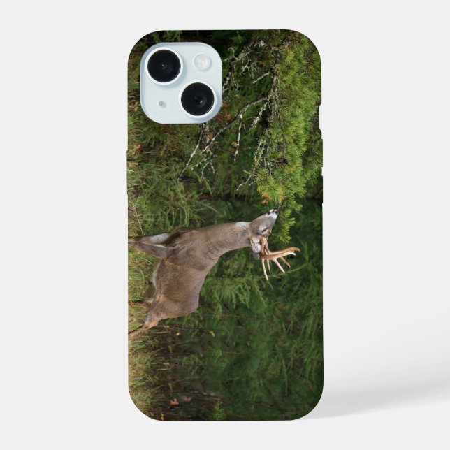 Whitetail Deer, Big Buck on the edge make scrape iPhone 15 Case (Back)
