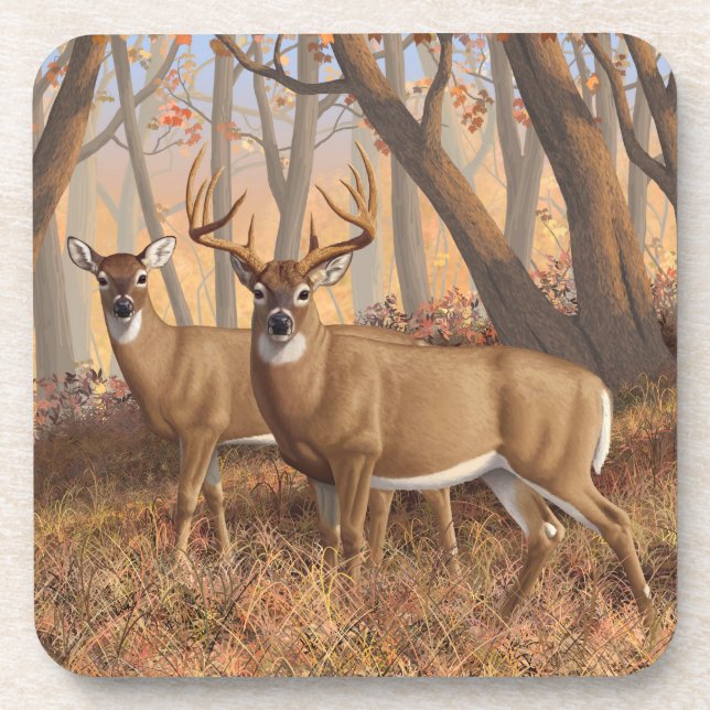 Whitetail Deer Buck & Doe Autumn Maple Woods Coaster (Front)