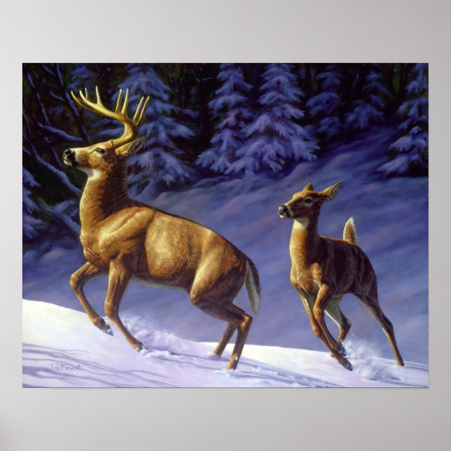 Whitetail Deer Buck & Doe in Winter Snow Poster (Front)