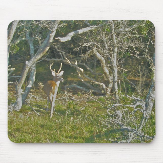 Whitetail Deer Buck OBX Mousepad (Front)