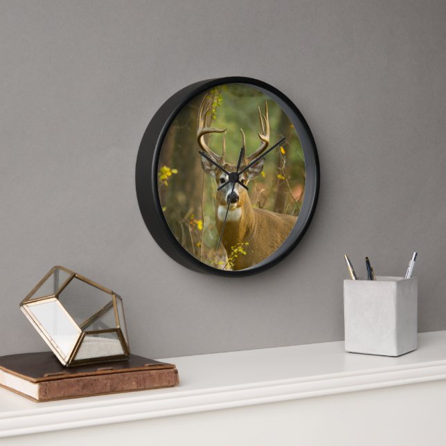 Whitetail Deer Buck | Whitefish, Montana Clock (Office)