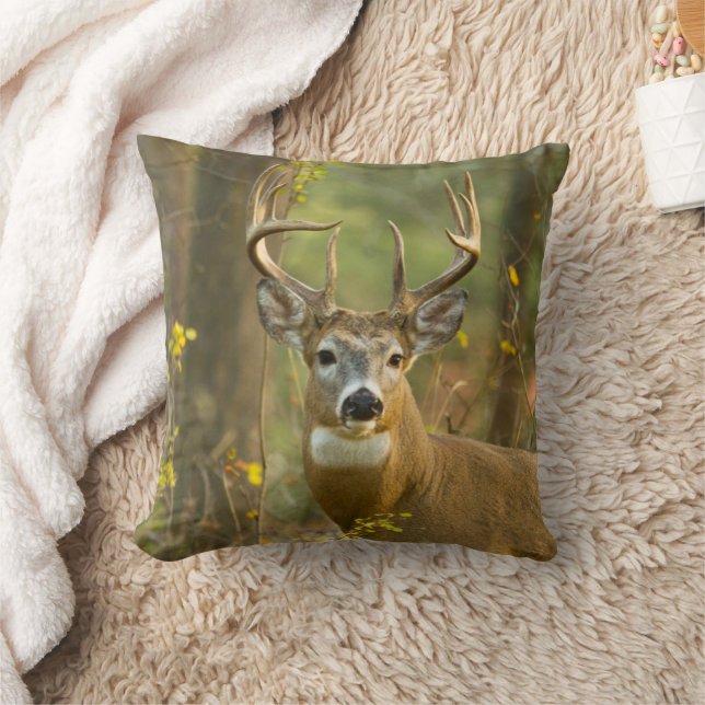 Whitetail Deer Buck | Whitefish, Montana Cushion (Blanket)