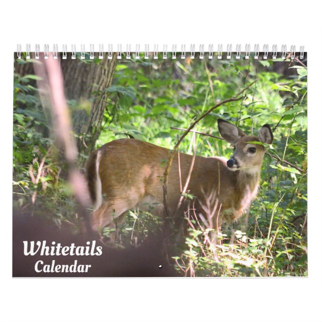 Whitetail Deer Calendar (Cover)