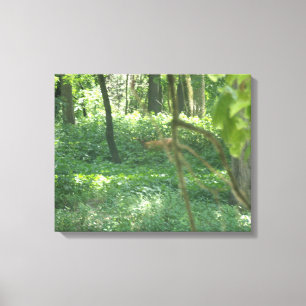 Whitetail deer canvas print