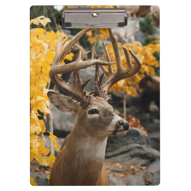 Whitetail Deer Clipboard (Front)