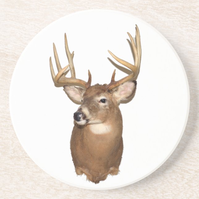 Whitetail Deer Coaster (Front)