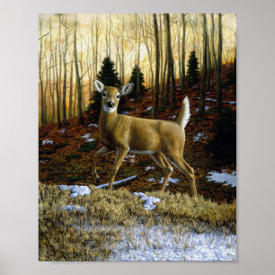 Whitetail Deer Doe in the Forest Poster