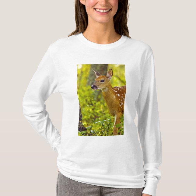 Whitetail deer fawn in Whitefish, Montana, USA T-Shirt (Front)
