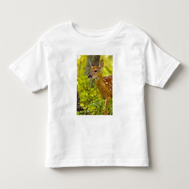 Whitetail deer fawn in Whitefish, Montana, USA Toddler T-Shirt (Front)