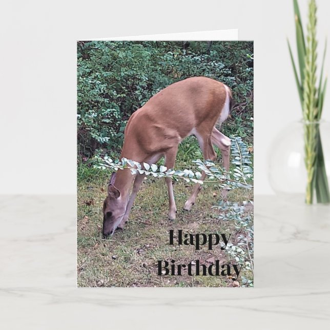 Whitetail Deer Grazing at Dusk Happy Birthday  Card (Front)