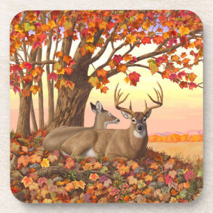 Whitetail Deer in Autumn New England Fall Colours Coaster
