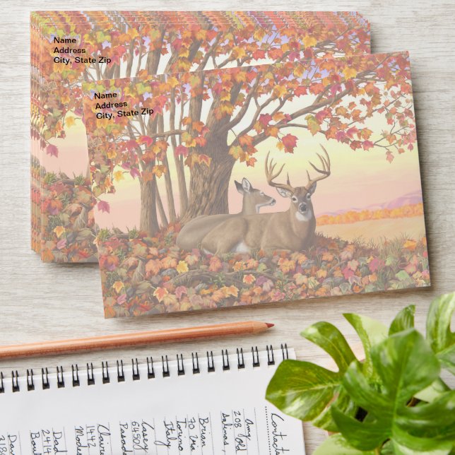 Whitetail Deer in Autumn New England Fall Colours Envelope (Stacked)