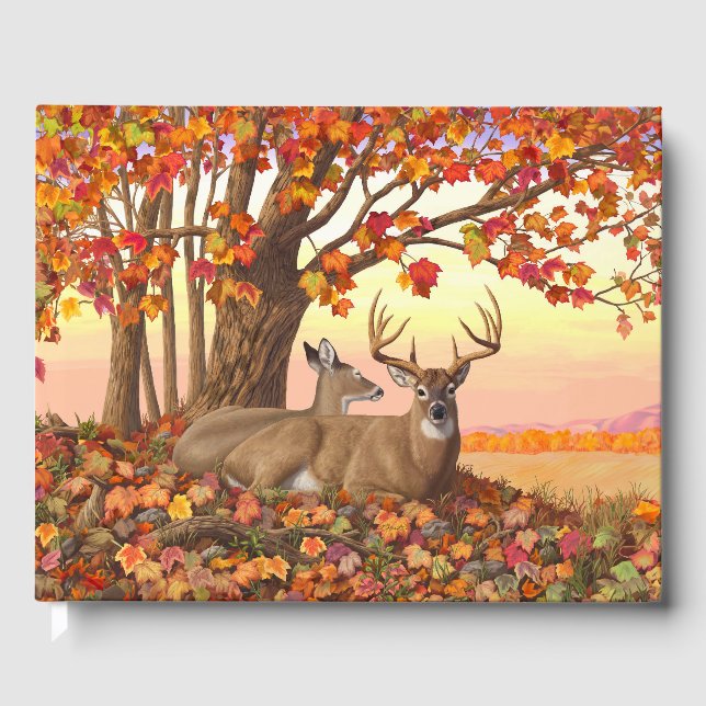 Whitetail Deer in Autumn New England Fall Colours Guest Book (Front)