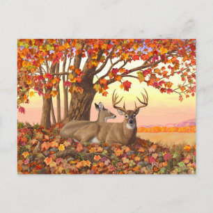Whitetail Deer in Autumn New England Fall Colours Postcard