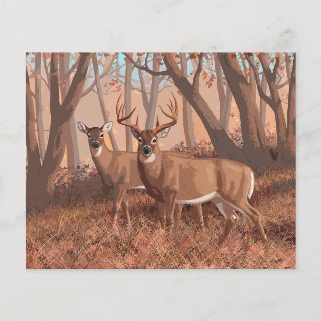 Whitetail Deer In Forest Retro Style Nature (Front)