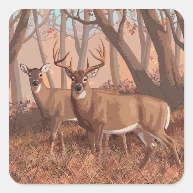 Whitetail Deer In Forest Retro Style Nature Square Sticker (Front)