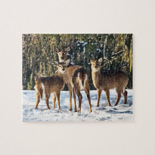 Whitetail Deer in Snow Jigsaw Puzzle