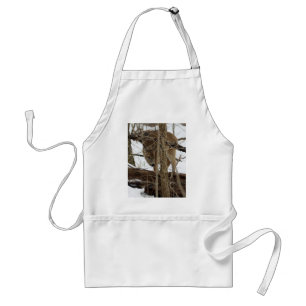 Whitetail Deer In Snow Standard Apron