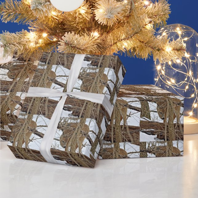 Whitetail Deer In Snow Wrapping Paper (Holidays)