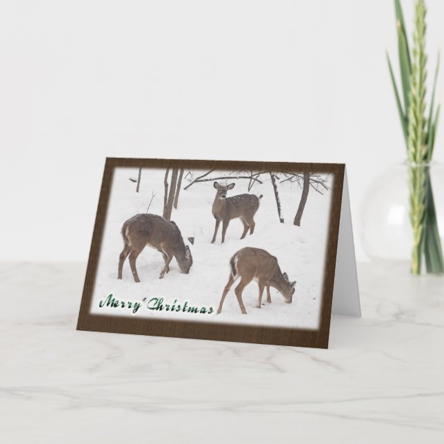 Whitetail Deer In Snowy Woods - Merry Christmas Holiday Card (Front)