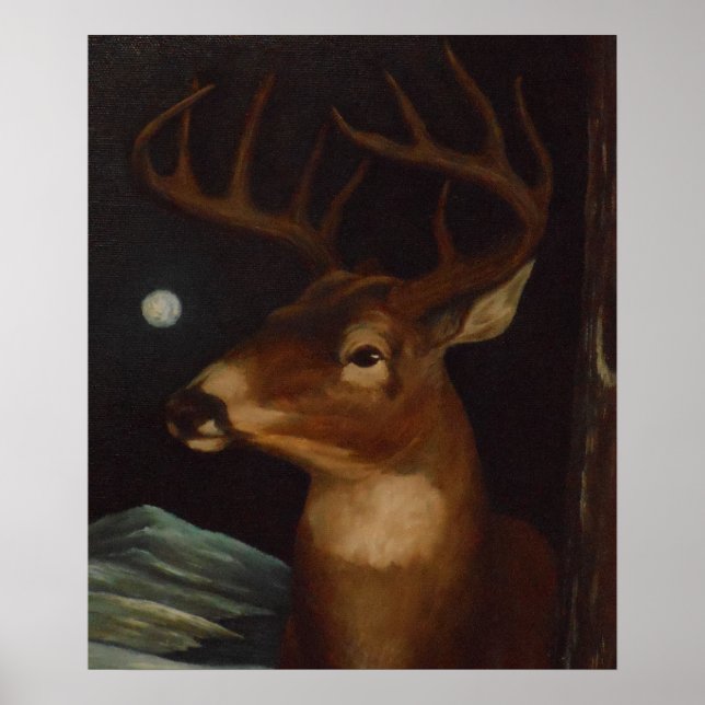 Whitetail deer in the moonlight poster (Front)