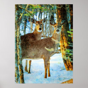 Whitetail Deer in Winter Snow Wildlife Watercolor Poster