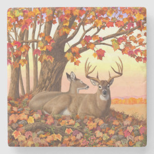 Whitetail Deer Maple Tree Autumn Orange Stone Coaster