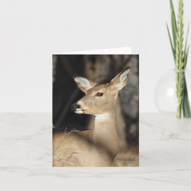 Whitetail Deer Notecard - Blank Inside (Front)