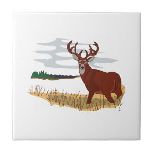 Whitetail Deer Scene Tile