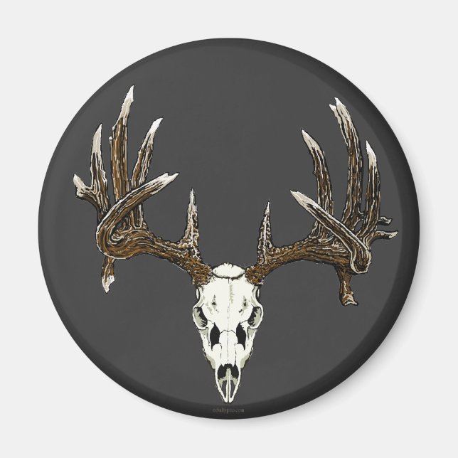 Whitetail deer skull 1 magnet (Front)