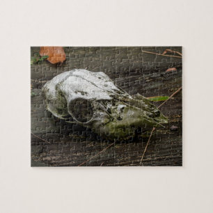 Whitetail Deer Skull Jigsaw Puzzle