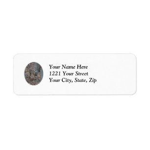 Whitetail Deer Spike Buck Series Address Label