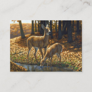 Whitetail Doe and Fawn Drinking from a Stream Business Card