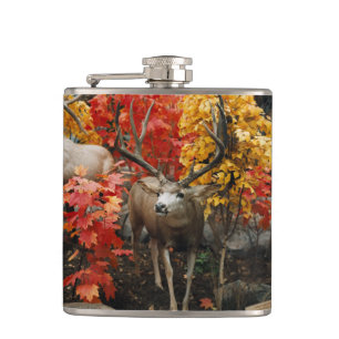 Whitetail In Autumn Hip Flask