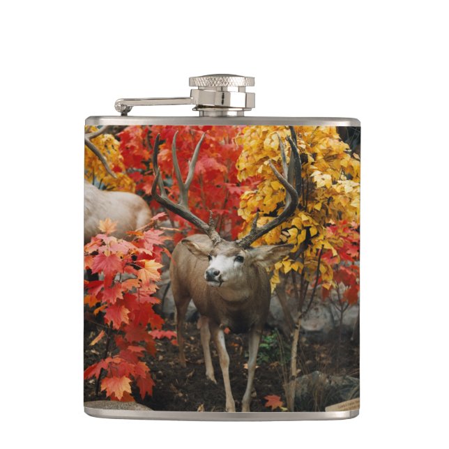 Whitetail In Autumn Hip Flask (Front)