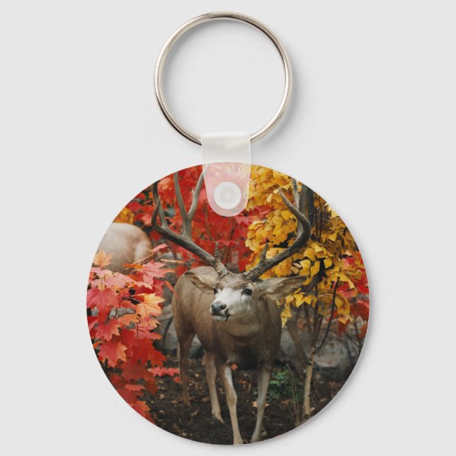 Whitetail In Autumn Key Ring (Front)