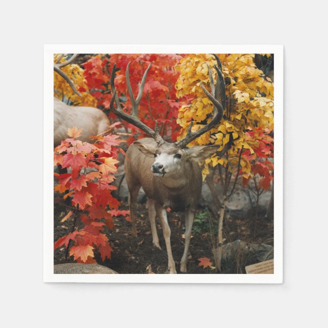 Whitetail In Autumn Napkin (Front)