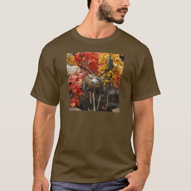 Whitetail In Autumn T-Shirt (Front)