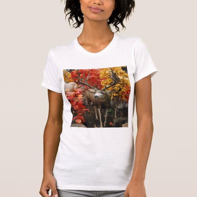 Whitetail In Autumn T-Shirt (Front)