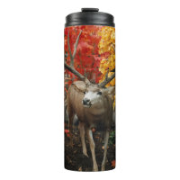 Whitetail In Autumn