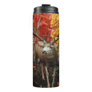 Whitetail In Autumn Thermal Tumbler