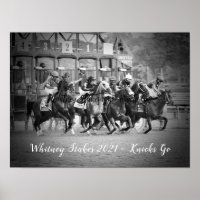 Whitney Stakes - Saratoga 20121 - Knicks Go