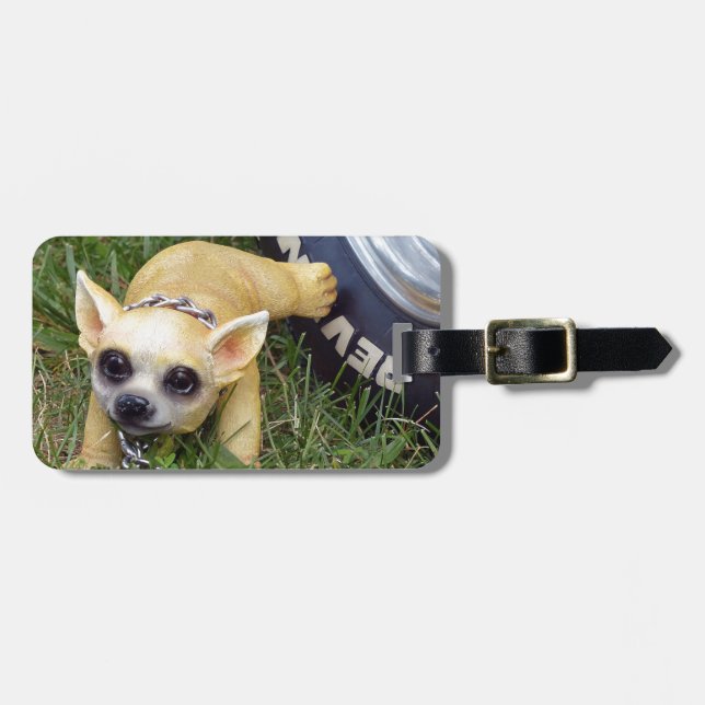 Whiz Kid Luggage Tag (Front Horizontal)