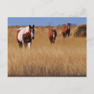 Who are you? postcard