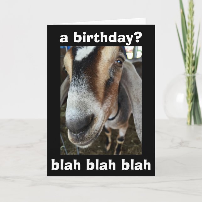 "WHO" CARES "I CARE" THE GOAT SAYS HAPPY BIRTHDAY CARD (Front)
