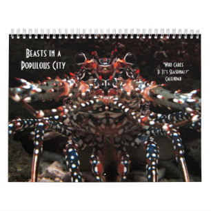 Who Cares If It's Seasonal? Calendar