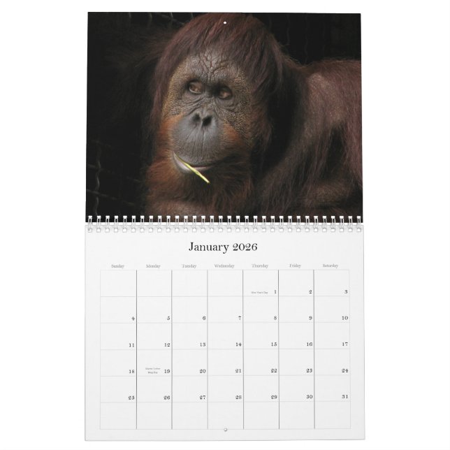 Who Cares If It's Seasonal? Calendar (Jan 2026)