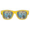 "Who Could Resist" Kids Retro Party Shades