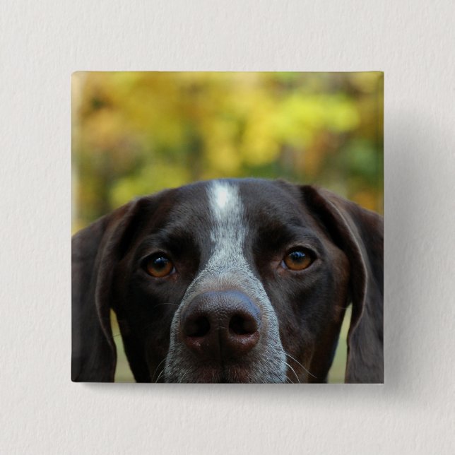 Who Dat Dog? 15 Cm Square Badge (Front)