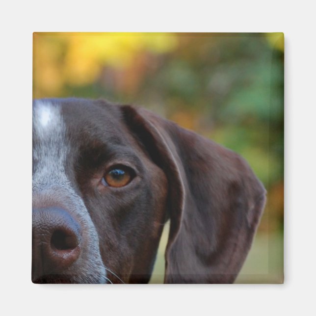 Who Dat Dog? Magnet (Front)